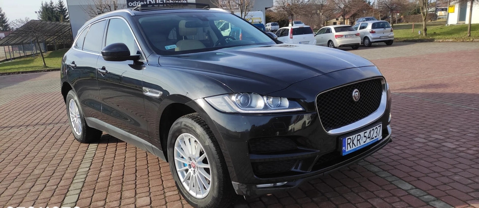 Jaguar F-Pace cena 88900 przebieg: 165200, rok produkcji 2017 z Kisielice małe 781